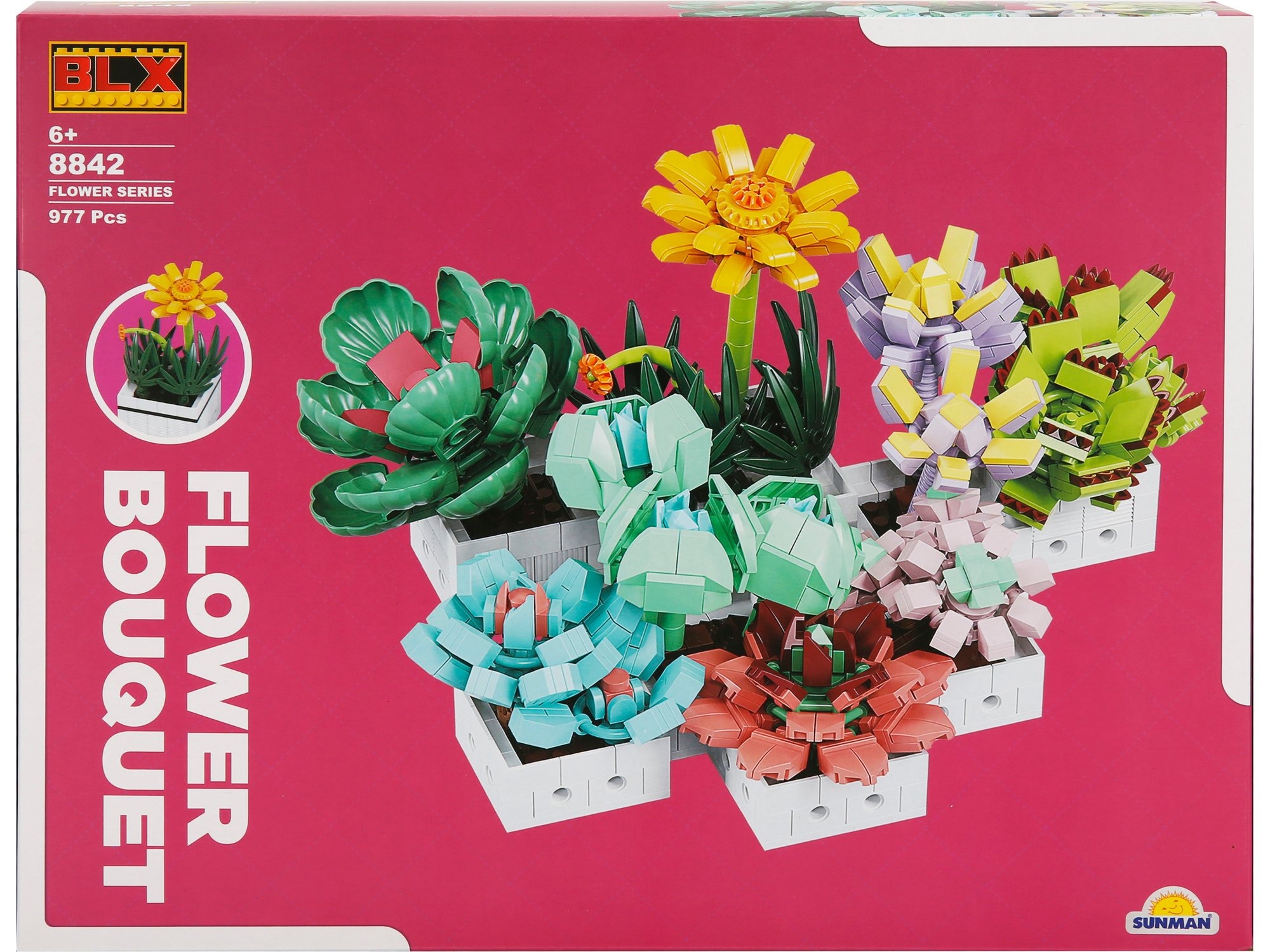 Set sklopivih kocki Sukulenti